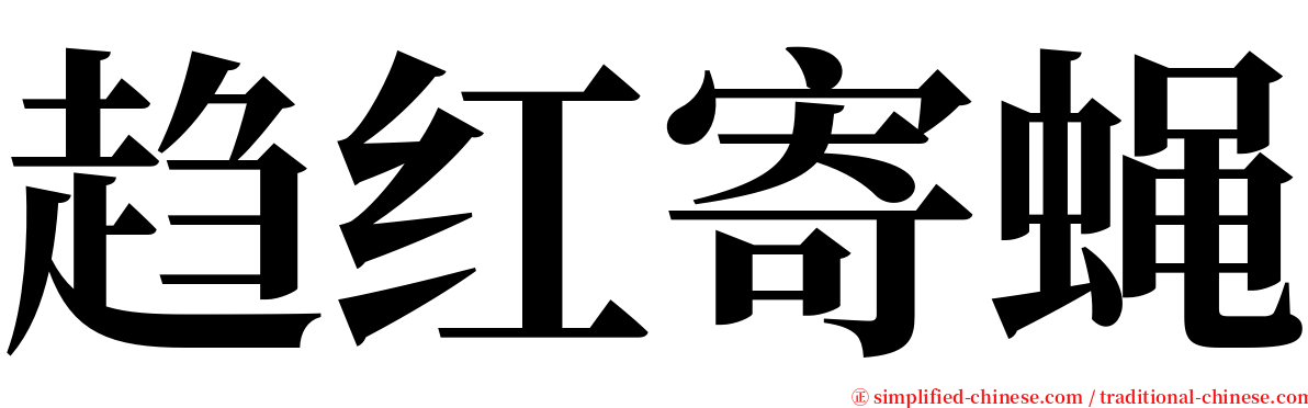 趋红寄蝇 serif font