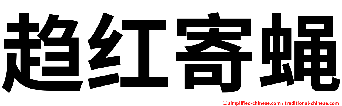 趋红寄蝇
