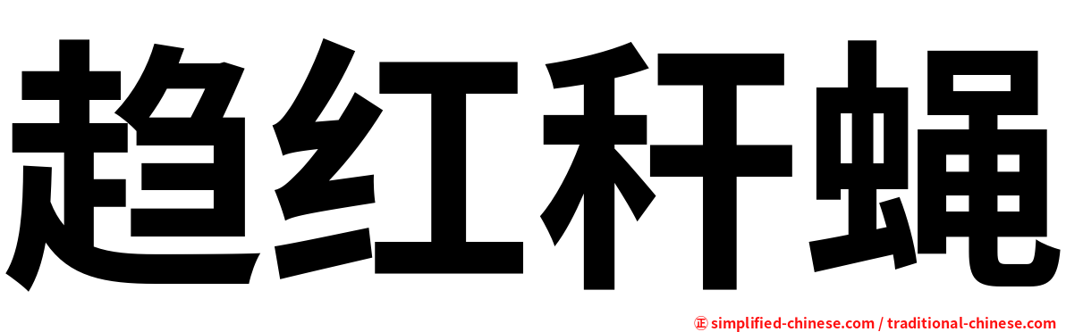 趋红秆蝇