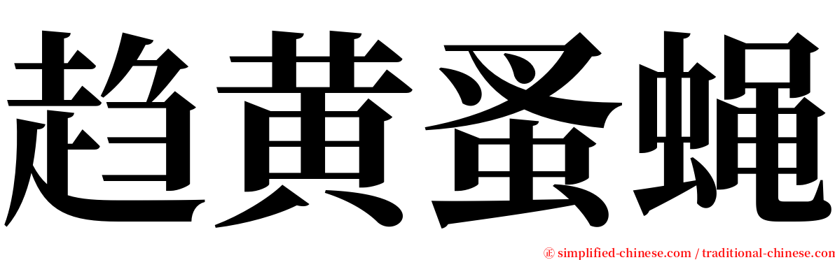 趋黄蚤蝇 serif font
