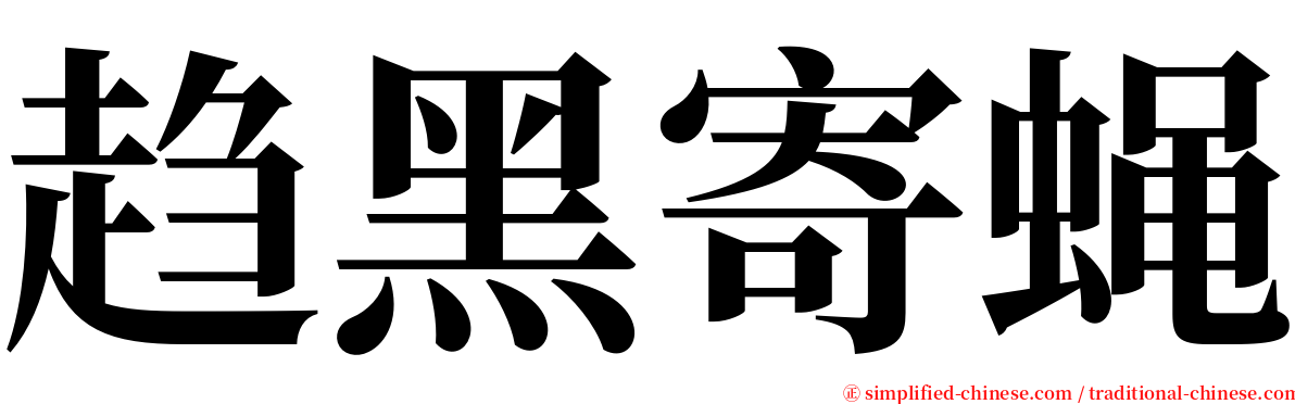 趋黑寄蝇 serif font