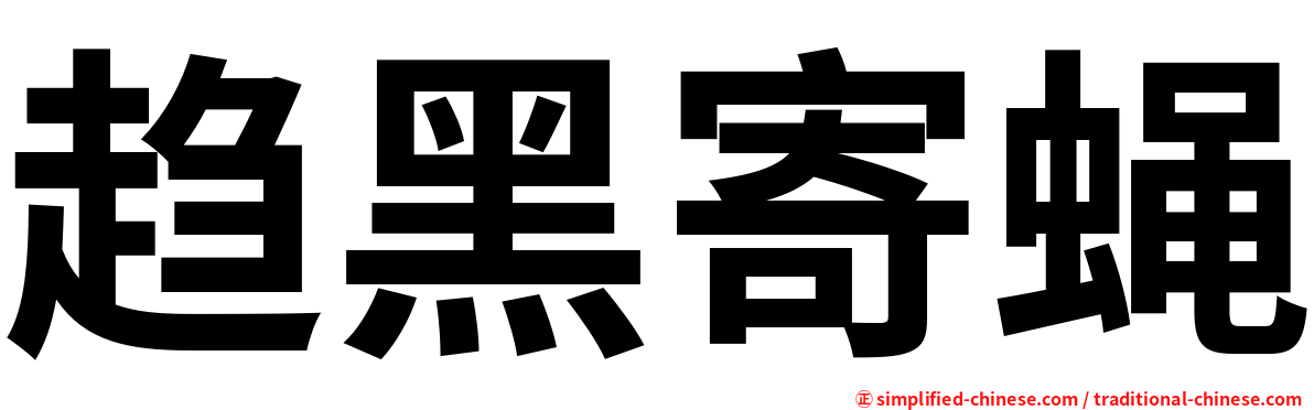 趋黑寄蝇