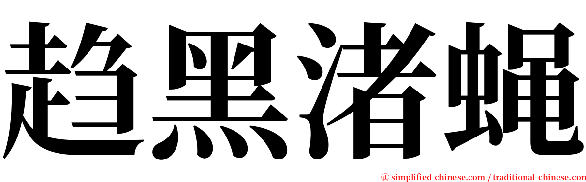 趋黑渚蝇 serif font