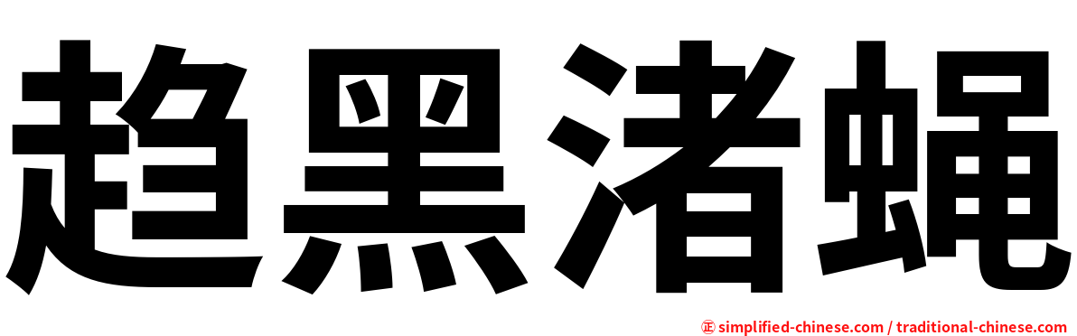 趋黑渚蝇