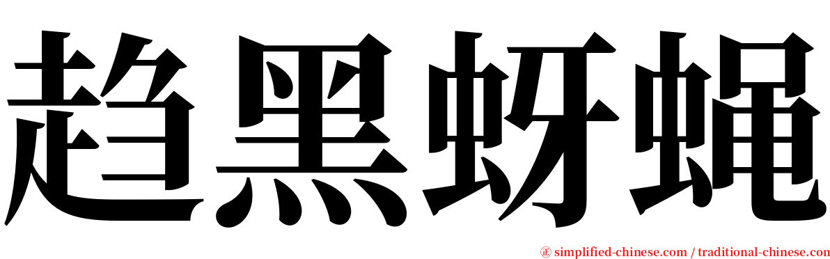 趋黑蚜蝇 serif font
