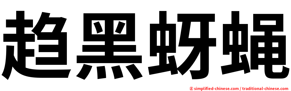 趋黑蚜蝇