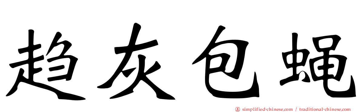 趋灰包蝇