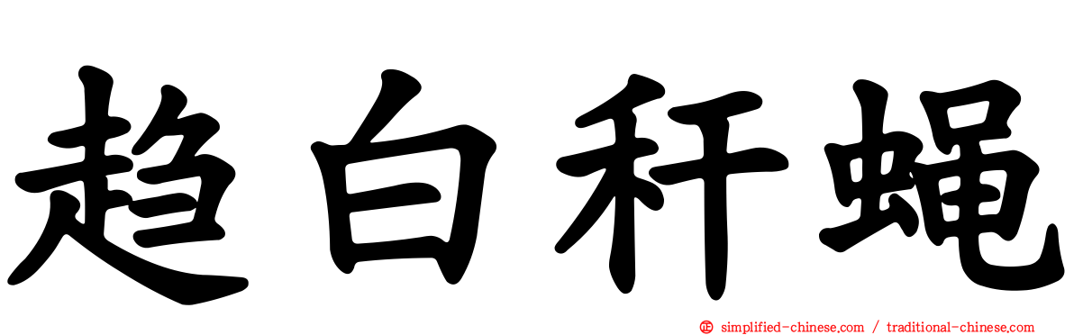 趋白秆蝇