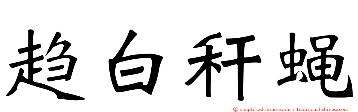 趋白秆蝇