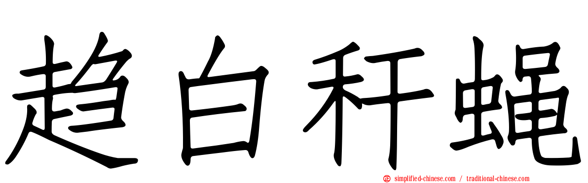 趋白秆蝇