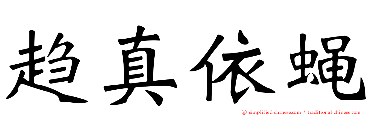 趋真依蝇