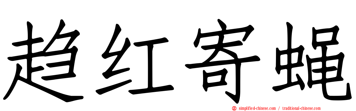 趋红寄蝇