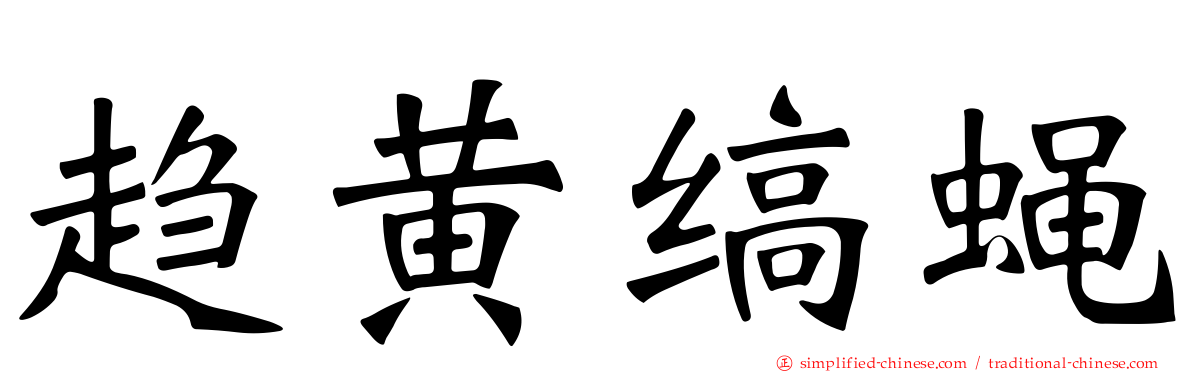 趋黄缟蝇