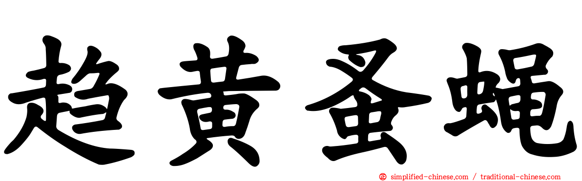 趋黄蚤蝇