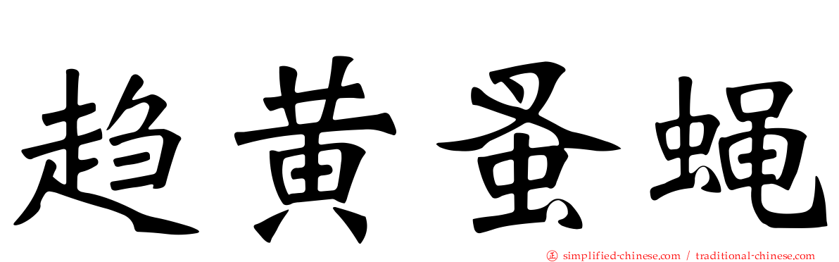 趋黄蚤蝇