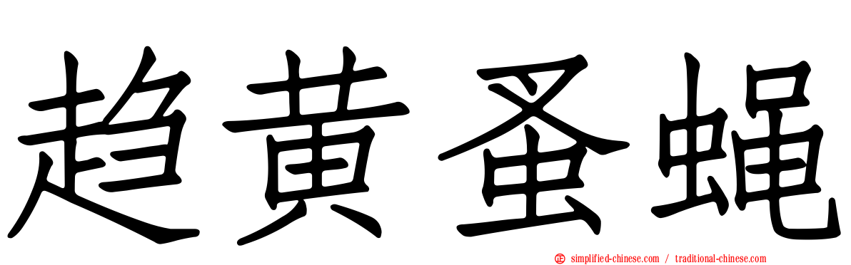 趋黄蚤蝇