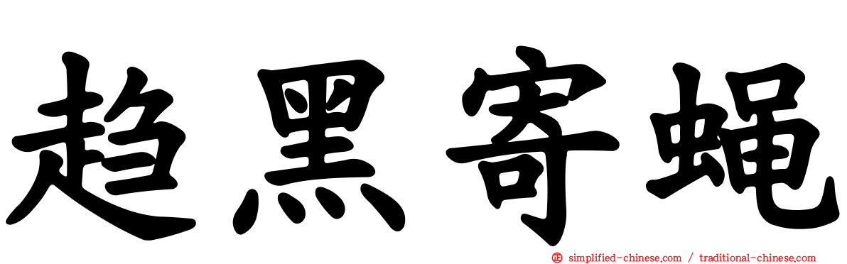 趋黑寄蝇