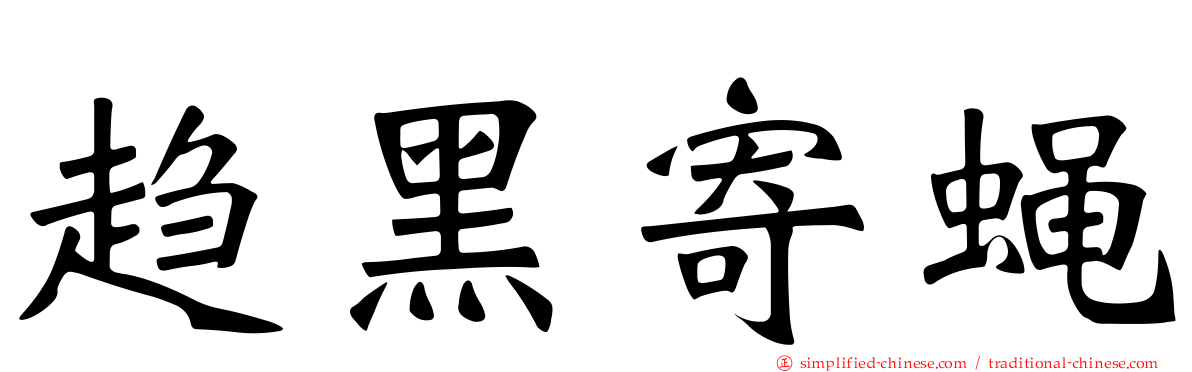 趋黑寄蝇