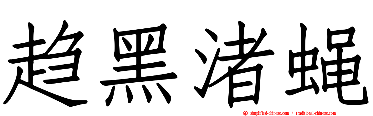 趋黑渚蝇