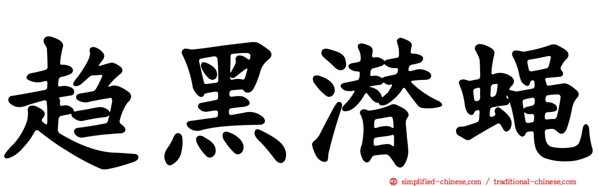 趋黑潜蝇