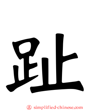 趾