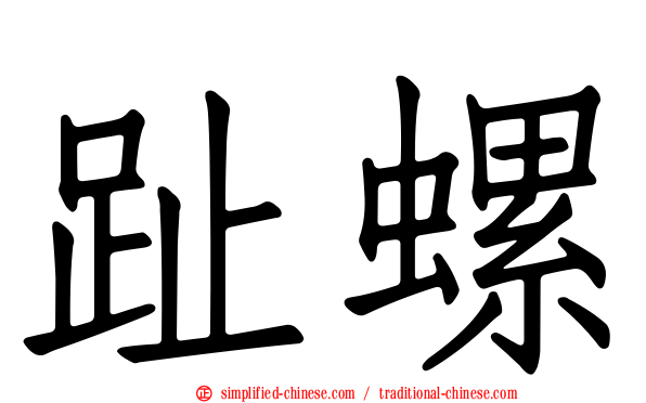 趾螺