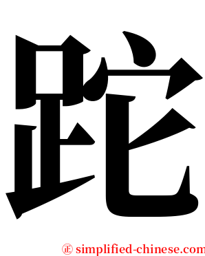 跎 serif font