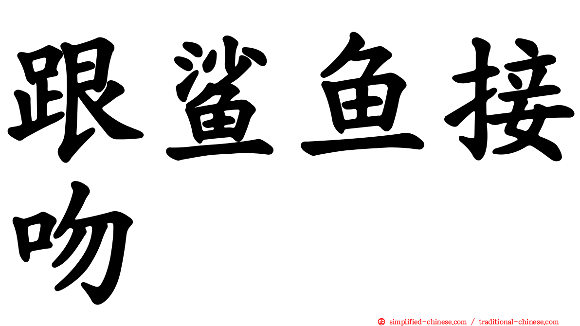 跟鲨鱼接吻