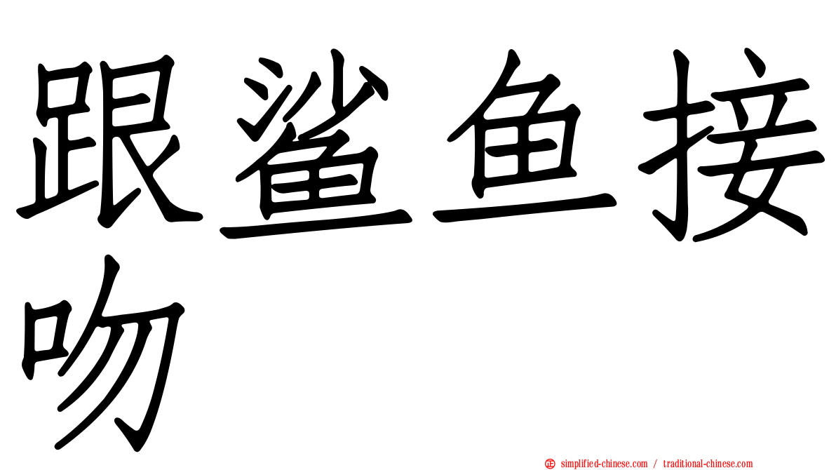 跟鲨鱼接吻