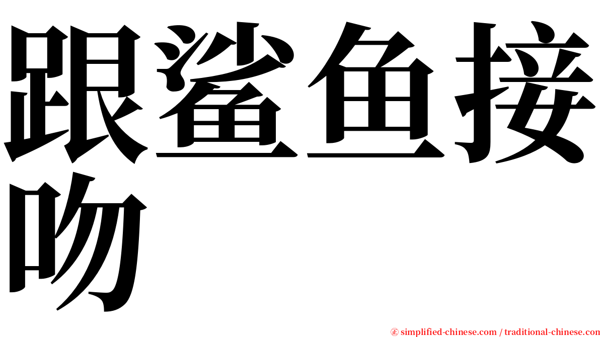 跟鲨鱼接吻 serif font