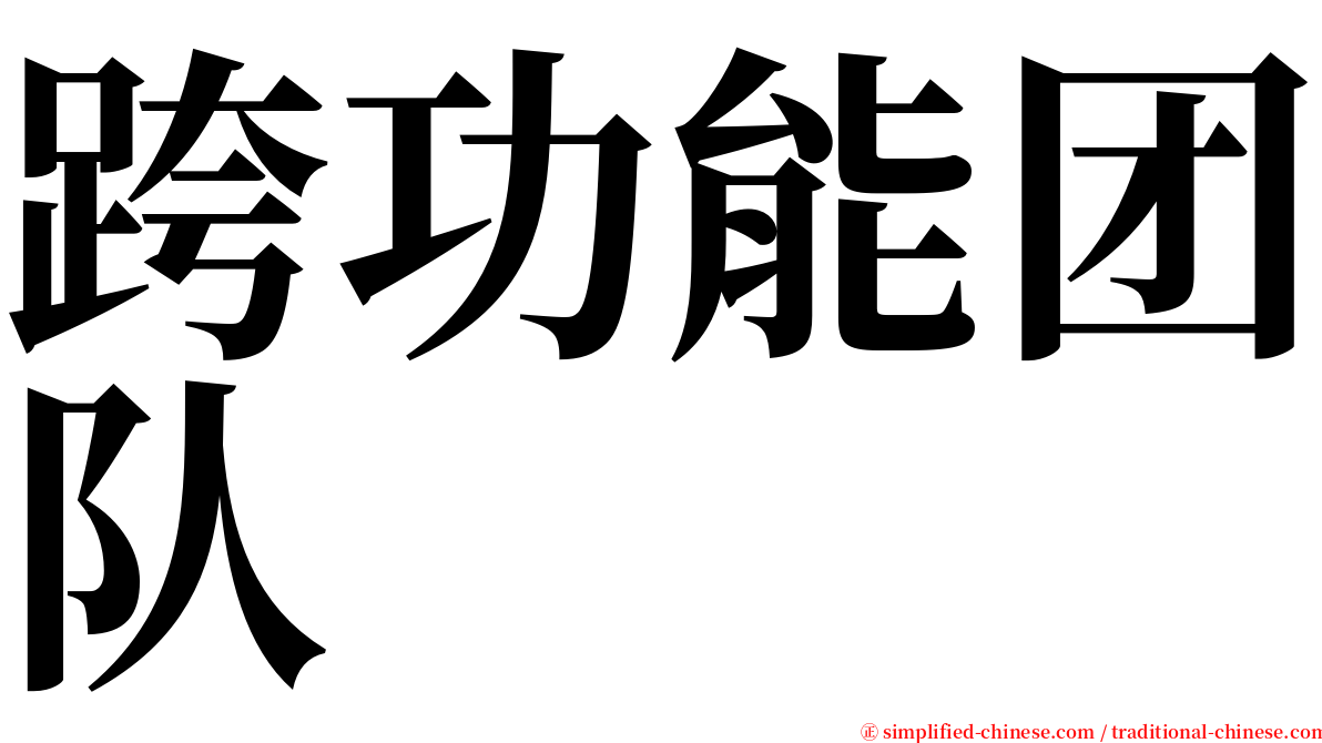 跨功能团队 serif font