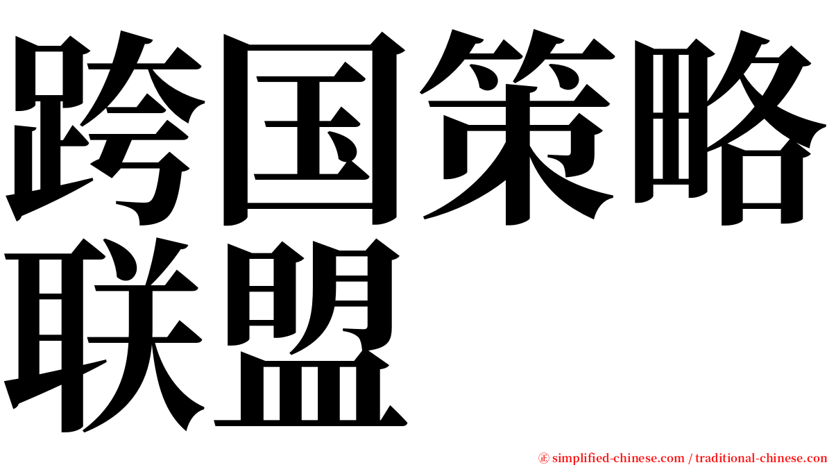 跨国策略联盟 serif font
