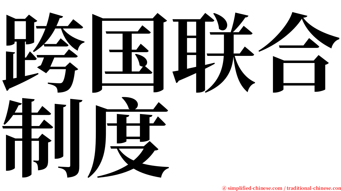 跨国联合制度 serif font