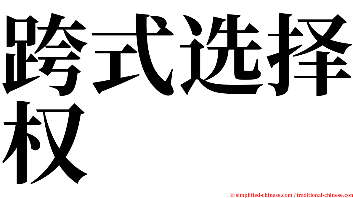 跨式选择权 serif font