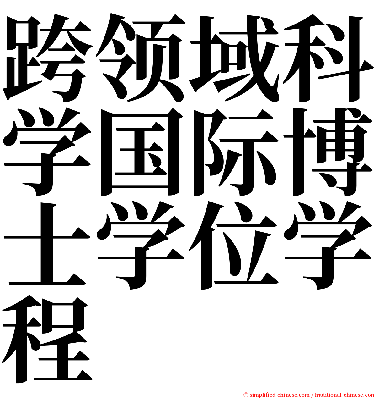跨领域科学国际博士学位学程 serif font