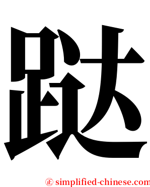 跶 serif font