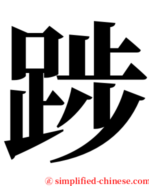 踄 serif font