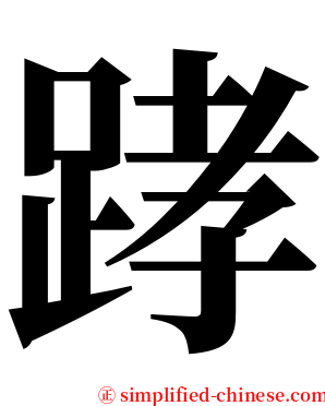 踍 serif font