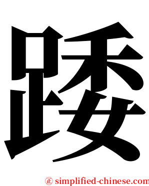 踒 serif font