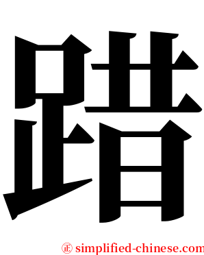 踖 serif font
