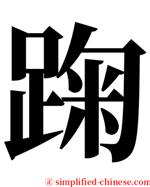 踘 serif font