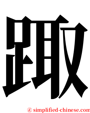 踙 serif font