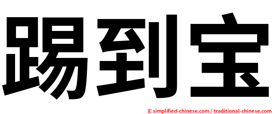 踢到宝