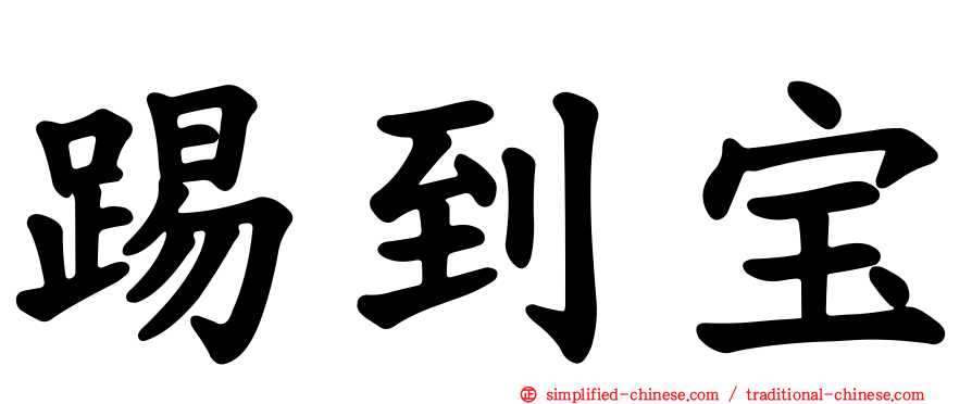 踢到宝