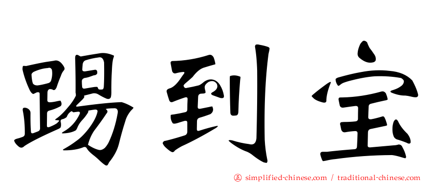 踢到宝