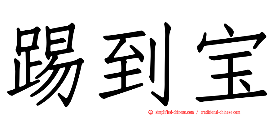 踢到宝