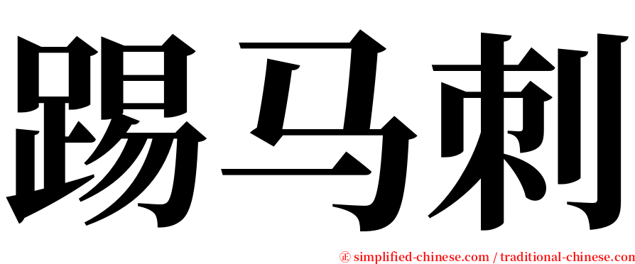 踢马刺 serif font
