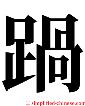 踻 serif font