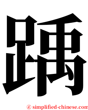 踽 serif font