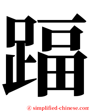 踾 serif font